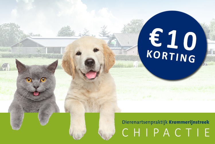 Juni chipmaand: 10 euro korting op chip huisdieren