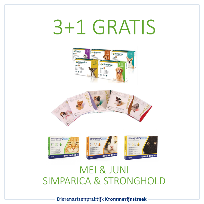 Strongholdactie Dierenartsenpraktijk Krommerijnstreek Omgeving 